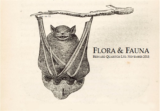 Flora & Fauna